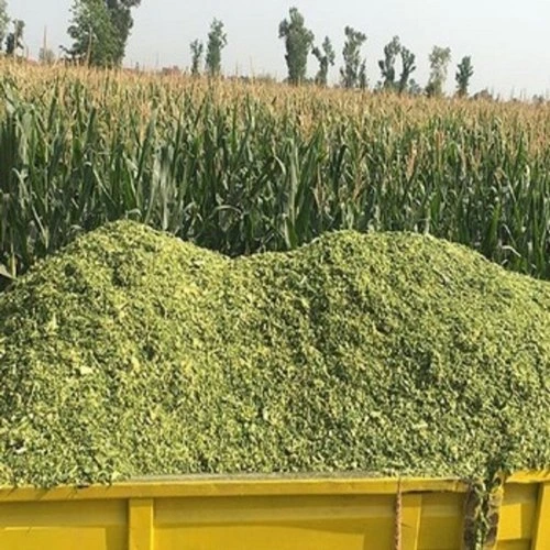 साइलेज बनाने में खर्च और लाभ